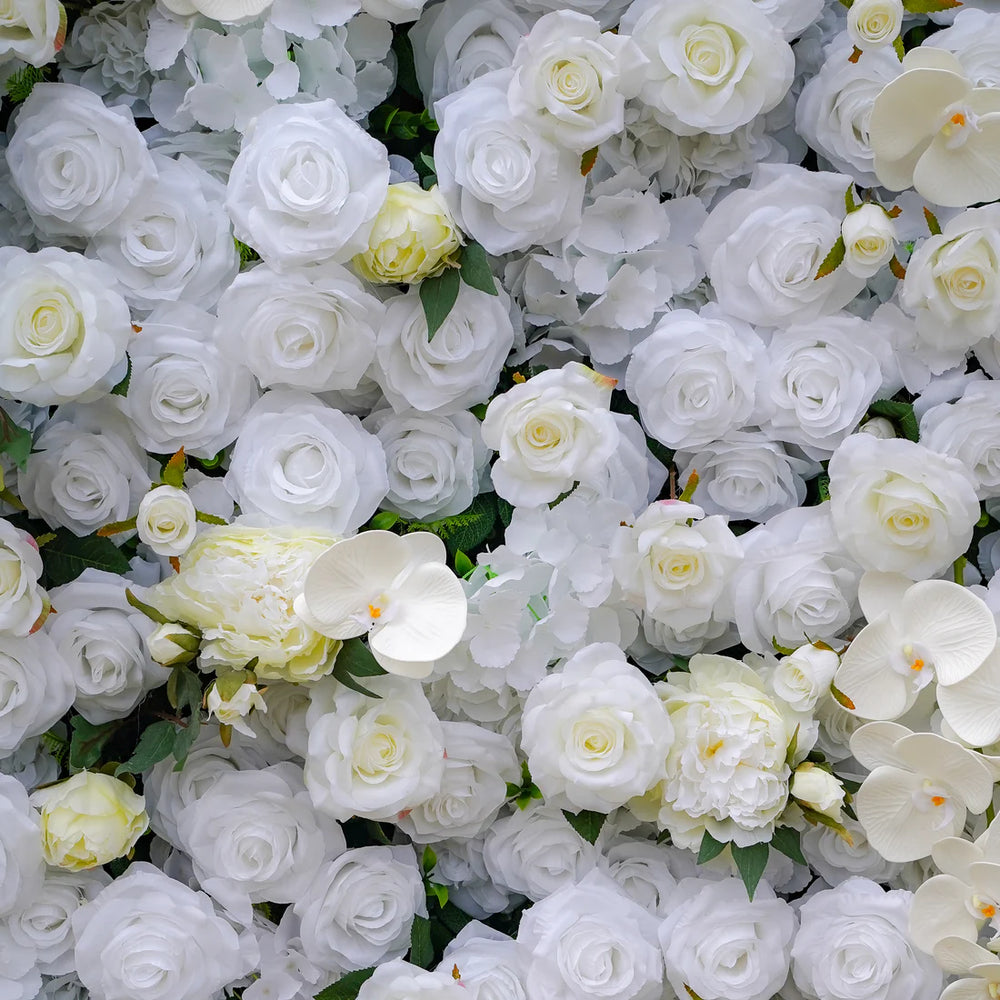 
                      
                        Cotton Dream | Flower Wall - Permanence Decor Rentals
                      
                    